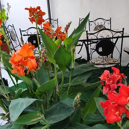 Πανσιόν Sea And Blue Sky 2 Calimera (Lecce)